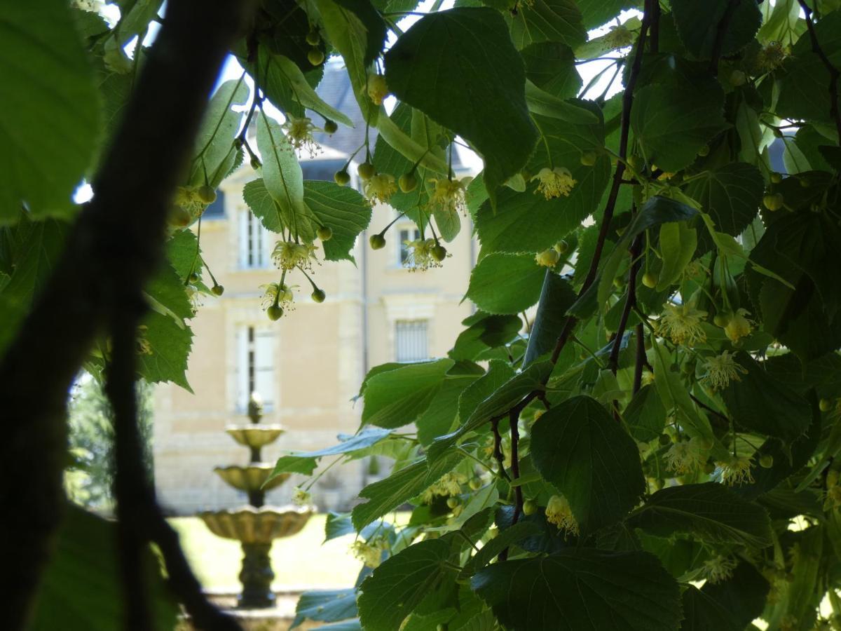 מלון Clairac  Chateau Marith - Etablissement Climatise Avec Piscine מראה חיצוני תמונה